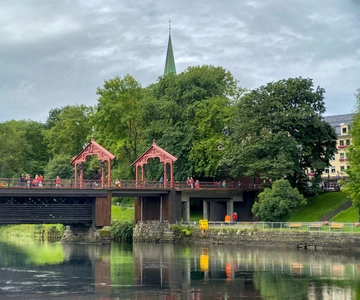 Trondheim: City Highlights Bus and Walking Tour