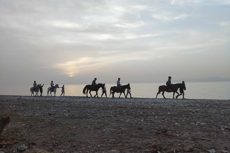 Rodas: Excursión a caballo con fotos digitalesExcursión matinal a caballo por el campo