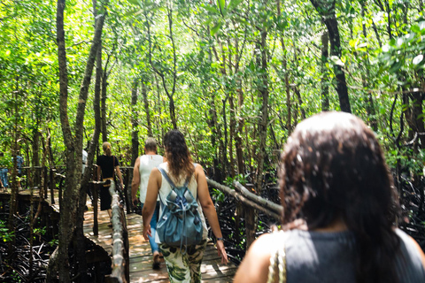 Zanzibar: Secret Beach, Kuza Cave e Jozani con trasferimentoSpiaggia Segreta, Grotta di Kuza e foresta di Jozani con trasferimento