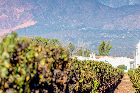 From Salta to Cafayate: Devil's Throat, Amphitheater, and Valley Wines