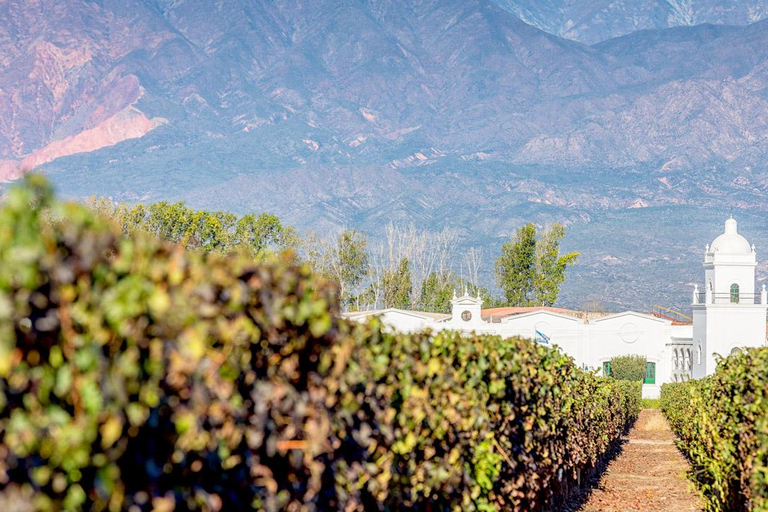 From Salta to Cafayate: Devil's Throat, Amphitheater, and Valley Wines