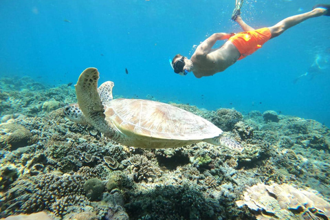 Gili Trawangan: Private Turtle Snorkeling Tour with GoPro 2-Hours Private Snorkeling Tour Turtle & Gopro