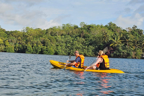 Hikkaduwa: Rathgama Lagoon Kayaking and Fish Therapy Tour