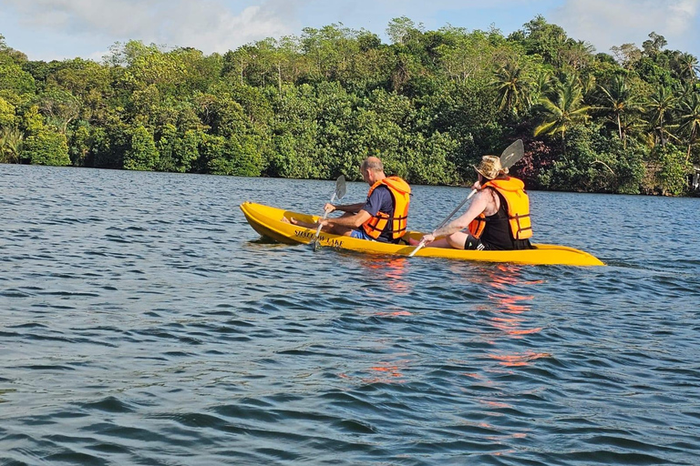 Hikkaduwa: Rathgama Lagoon Kayaking and Fish Therapy Tour