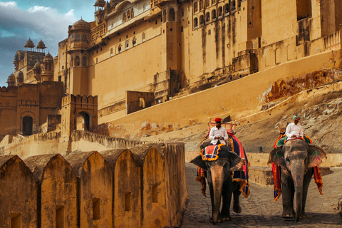 Delhi: 7 Tage Goldenes Dreieck mit Tiger-Safari &amp; VaranasiTour mit 5-Sterne-Hotel-Unterkunft