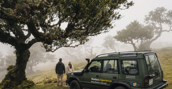 Madeira: VIP 4x4 Fanal Forest & North (Max 4 Guests)
