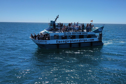 Fuengirola : Tour en catamaran pour repérer les dauphins