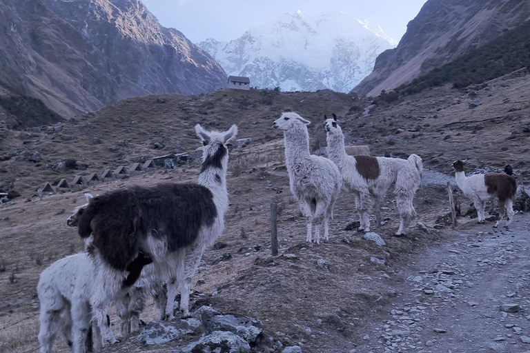 Fantastic One Day Tour to Humantay Lake in Private Service