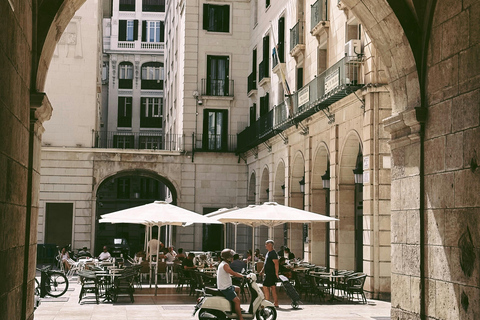 Alicante: Private Guided Tour with Transport