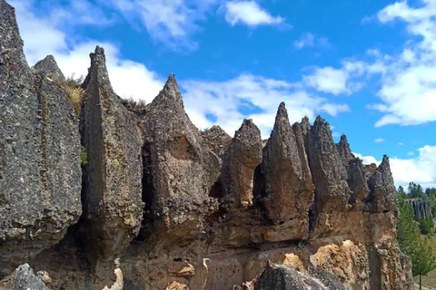 Cajamarca: Sexemayo Nature Tour & Forest Walk Cajamarca: Sexemayo Nature Tour – English Guide