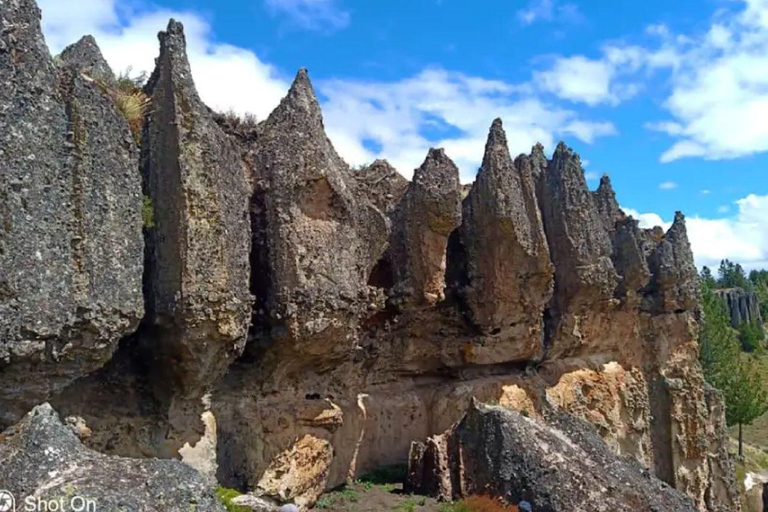 Cajamarca: Sexemayo Nature Tour & Forest Walk Cajamarca: Sexemayo Nature Tour – English Guide