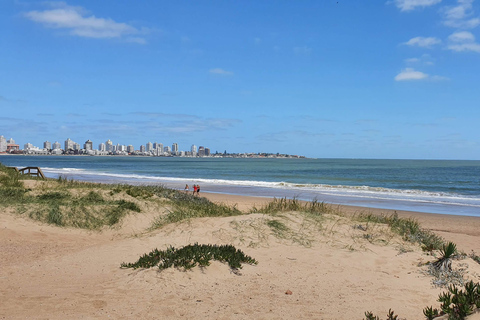 City Tour in Punta del Este: Unforgettable Adventure with Treasure Hunt!