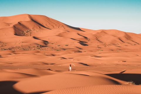 Escala en Doha Excursión por el desierto, paseo en camello y mar interiorSafari por el desierto con paseo en camello