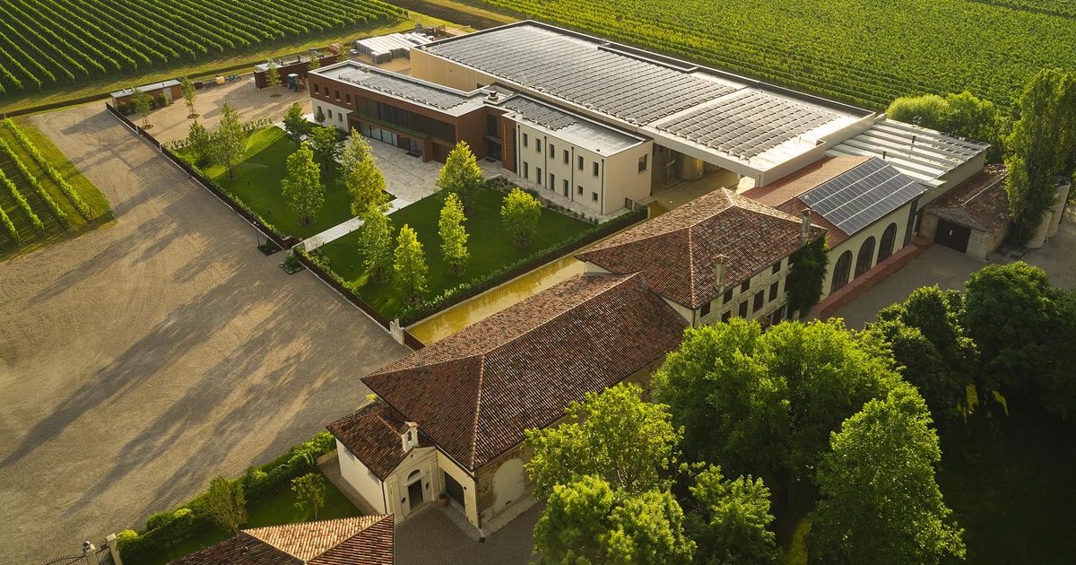 Veneto: Vineyard Tour with Wine Tasting | GetYourGuide