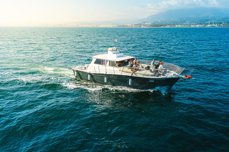 Estepona: Dolphins Searching Sea Cruise with Drink & Snacks Group Cruise