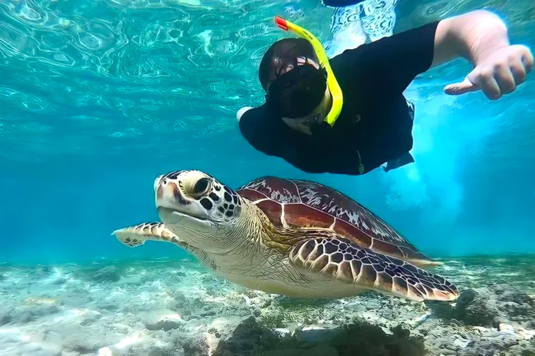 Snorkeling exclusif avec GoPro : Gili Trawangan AdventuresExcursion privée de 4 heures de plongée en apnée avec GoPro