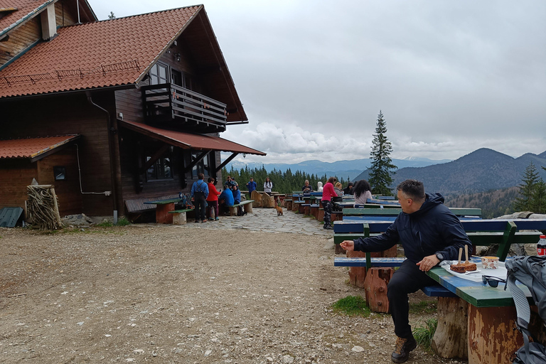 Brașov: Caminhada privada em Piatra Craiului até a cabana CurmaturaBrașov: Caminhada Privada de Piatra Craiului até a Cabana Curmatura