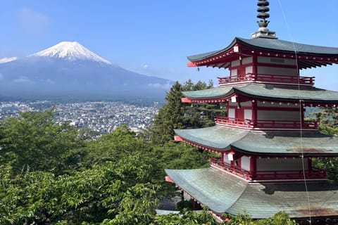 From Tokyo: Nikko and Mount Fuji 2-Day Private Tour - Image 2