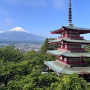 From Tokyo: Nikko and Mount Fuji 2-Day Private Tour