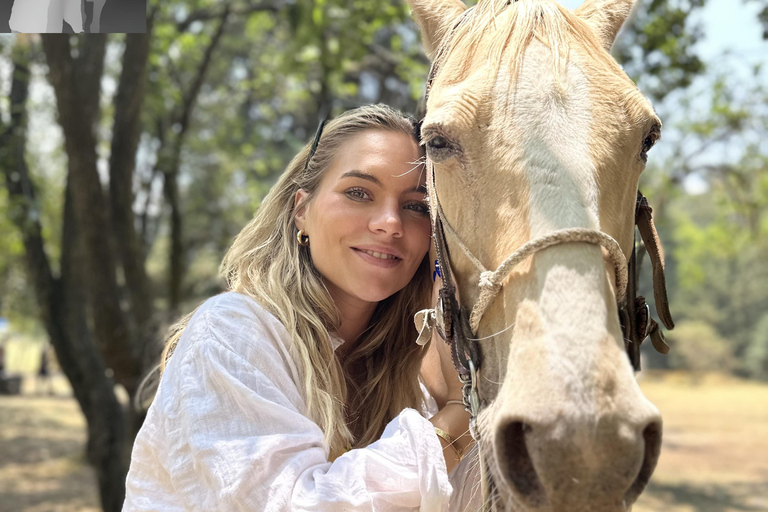 LA MEILLEURE ÉQUITATION AVEC DES COW-BOYS PROFESSIONNELS