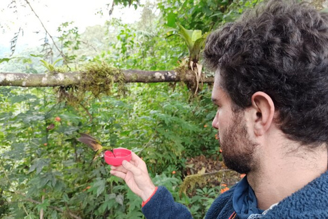 Private Mindo Day Tour: Cloud Forest, Nature & Chocolate