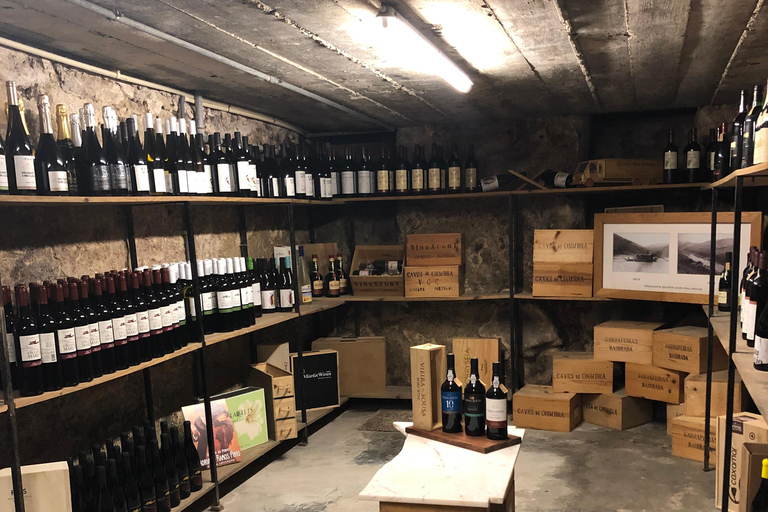 Porto: Cheese and Port Wine Tasting in a Unique Place