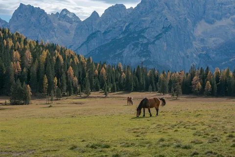 Dolomites private guided city tour