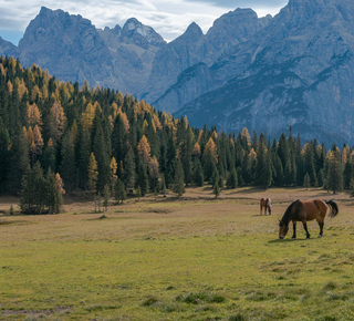 Cortina D'Ampezzo: Sightseeing Tours