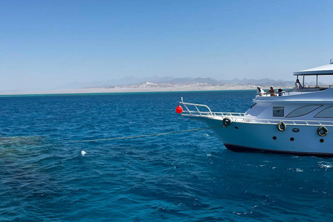 Sharm El Sheikh: Tiran Island Boat Diving & Snorkeling Intro Diving & Snorkeling – No Certification Required