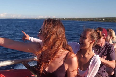 Winona Whale Watching Cruise - Maalaea Harbor