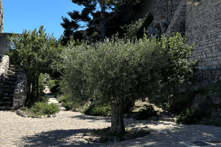 From medieval Evenos to Bandol wines : a taste of Provence Evenos - Bandol - La Ciotat - Cassis : PUBLIC