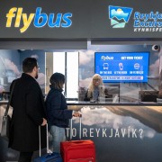 Flughafen Keflavik (KEF): Bustransfer nach/von Reykjavik