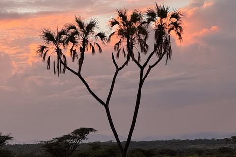 Samburu National Reserves: Optional Village Tour & Swimming