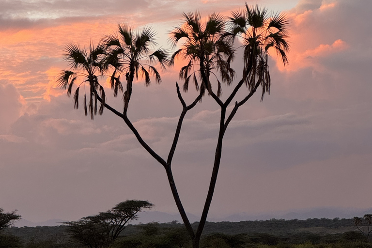 Samburu National Reserves: Optional Village Tour & Swimming