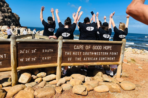 Cape of Good Hope & African Penguins Small Group Tour