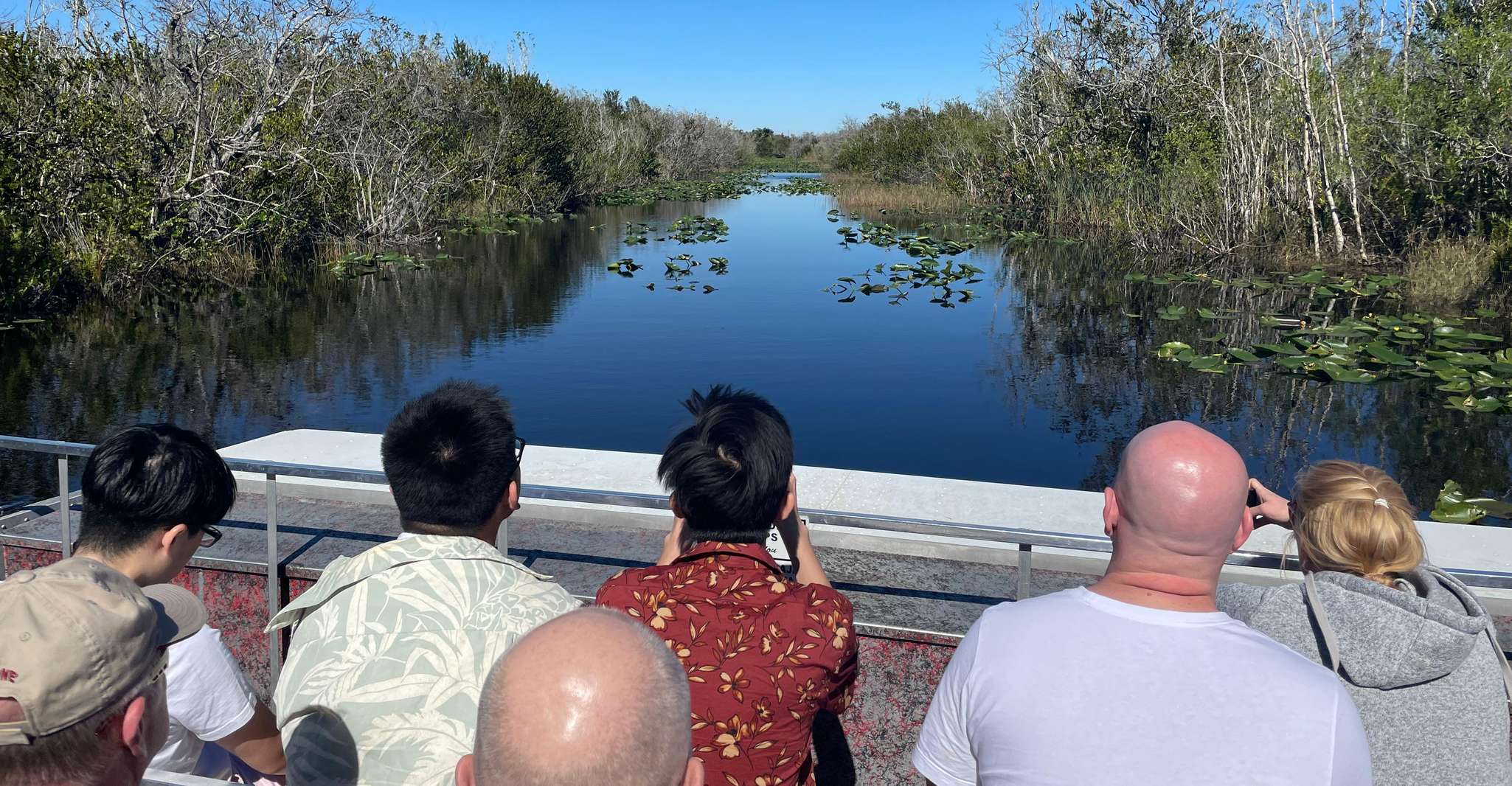 From Miami: Everglades Airboat Gator Spotting Tour photo 17