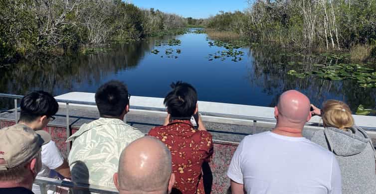 From Miami: Everglades Airboat Gator Spotting Tour photo 17