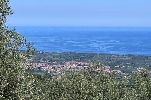 From Catania: Etna Trekking & Wine Tasting Tour with Pickup