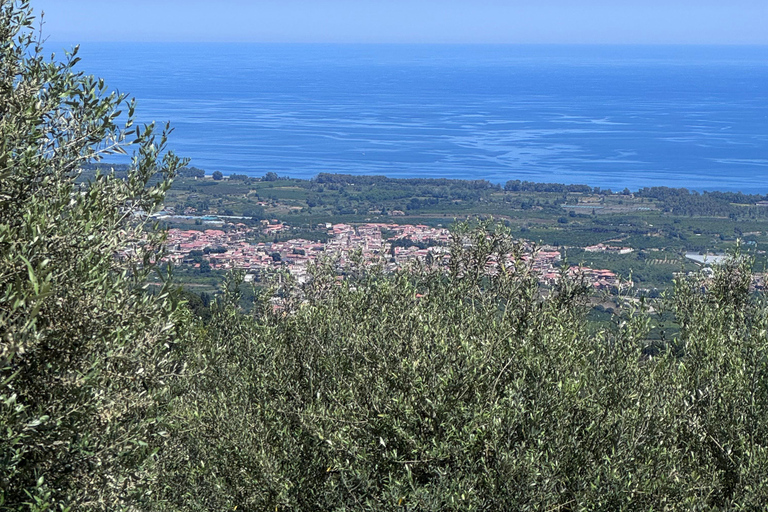 From Catania: Etna Trekking & Wine Tasting Tour with Pickup