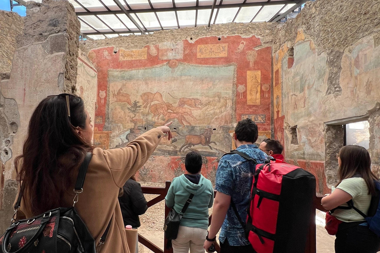 Naples: Pompeii & Mt. Vesuvius Day Trip with Tickets & Lunch Group Tour in ENG, IT, or ES (Up to 40 Participants)