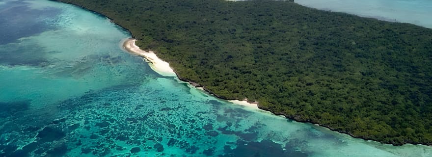 Kizimkazi : Excursion sur l'île de Pungume avec masque et tuba et sur les bancs de sable
