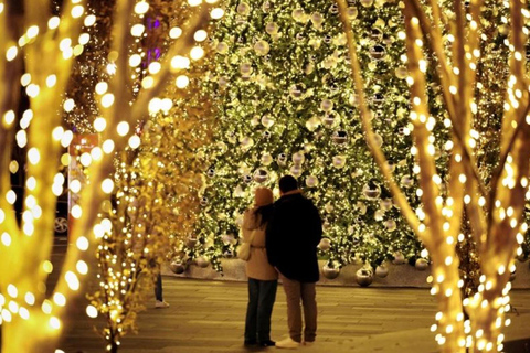 DC: Downtown Ultimate Holiday Walking Tour with Hot Cocoa