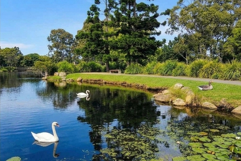 From Brisbane: Private Gold Coast Tour with Meal and Skywalk