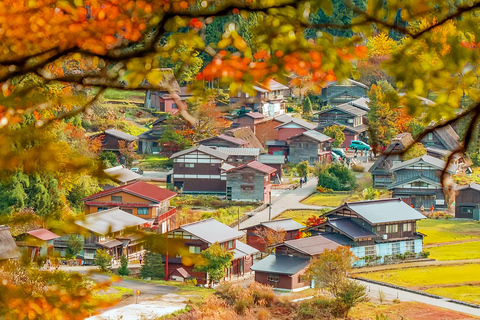 Nagoya:Shirakawa-go Gassho Village&Takayama Old Town Tour