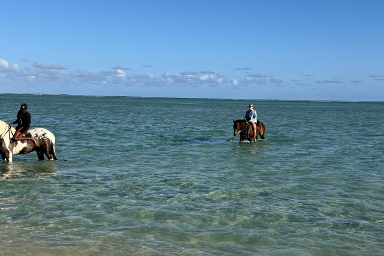 Descubriendo el sur. Paseos a caballo por la playa, excursiones a cascadas.