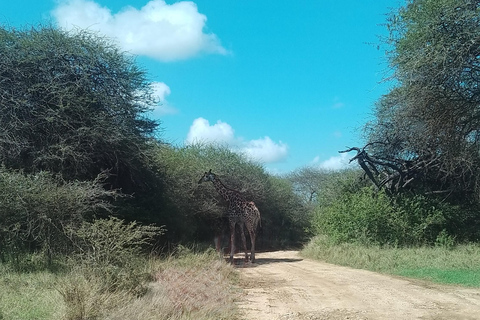 Mombasa: Wildlife Sanctuary Guided Nature Trail Tour Wildlife Sanctuary Guided Nature Trail Tour