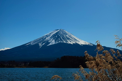 Nagoya: Private Mount Fuji day Trip with Local Guide