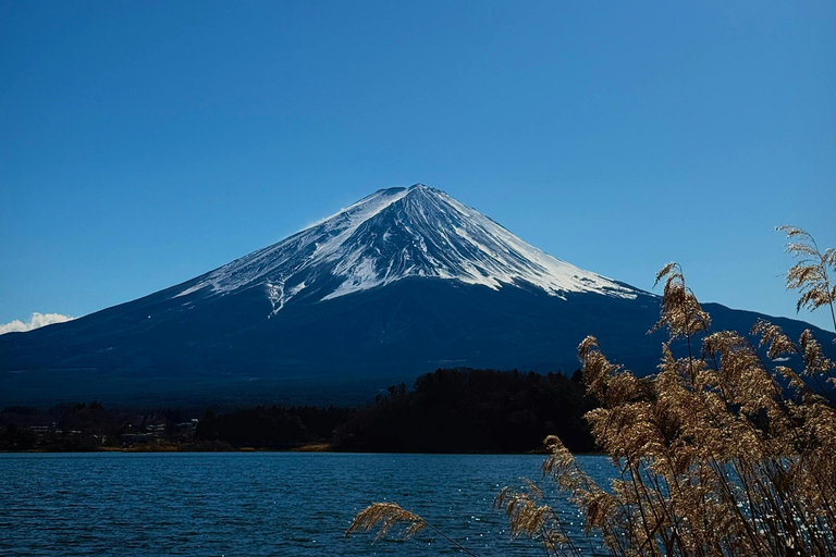 Nagoya: Private Mount Fuji day Trip with Local Guide