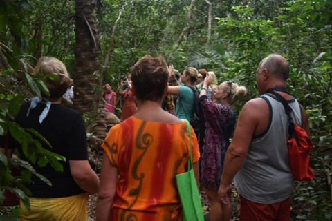 Zanzibar: Excursão a pé pela floresta de Jozani com guia de turismoZanzibar: Passeio pela floresta de Jozani e macacos colobus vermelhos de Zanzibar