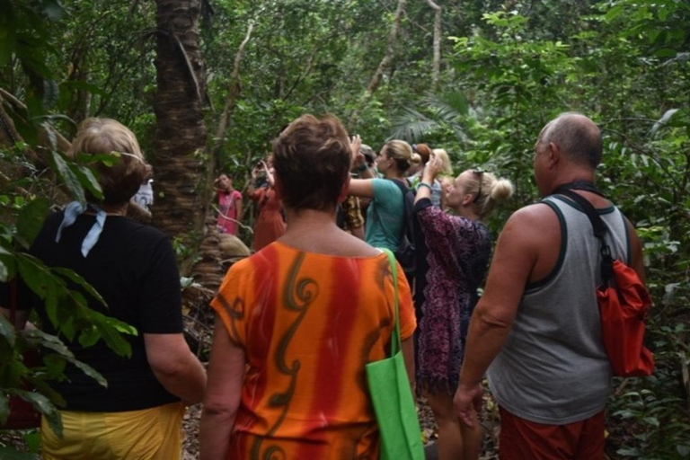 Zanzibar: Excursão a pé pela floresta de Jozani com guia de turismoZanzibar: Passeio pela floresta de Jozani e macacos colobus vermelhos de Zanzibar